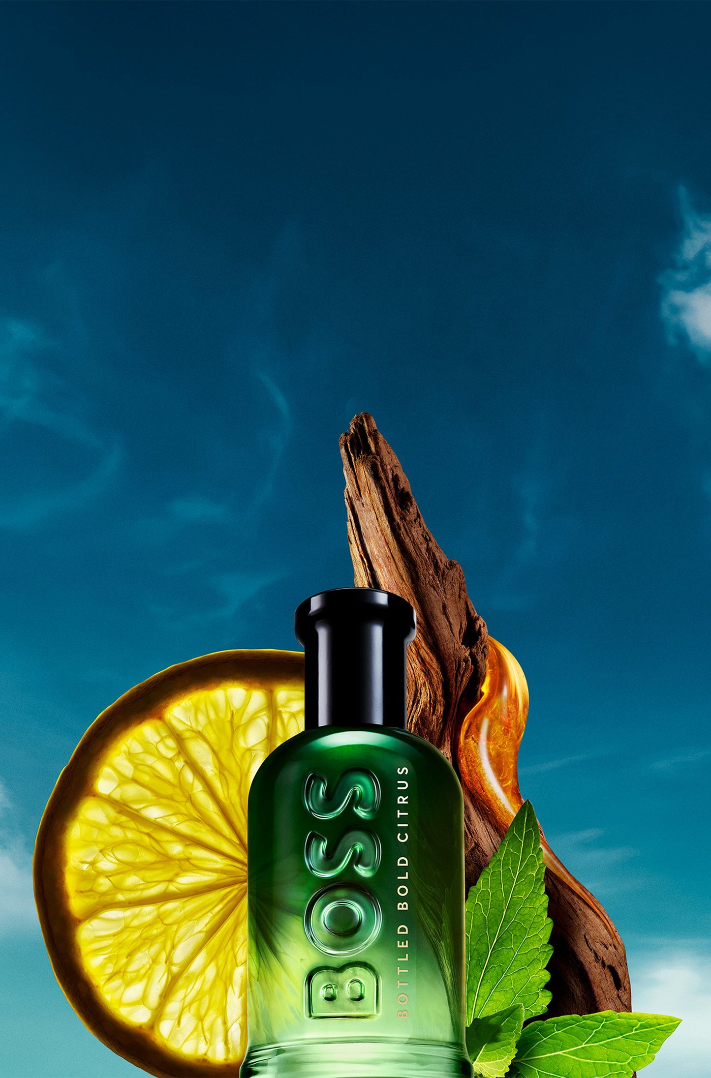 BOSS Bottled Bold Citrus eau de parfum 100ML