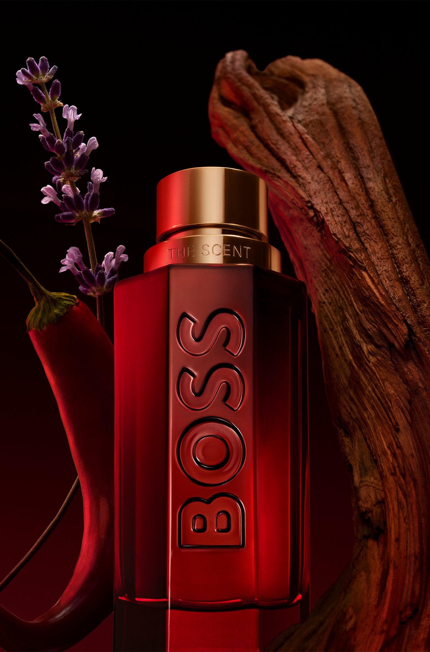 BOSS The Scent Elixir parfum intense 50ml